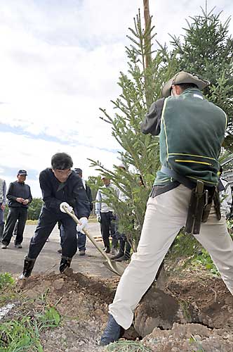 飯山スキー100周年記念市営飯山シャンツェ植栽事業