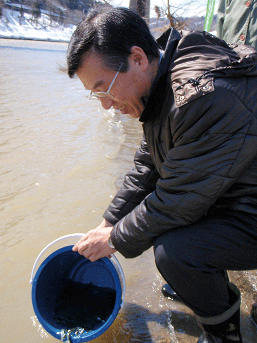 さけの稚魚放流