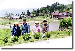 小菅むらづくり委員会