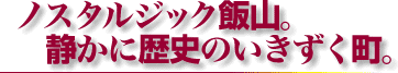 ノスタルジック飯山。静かに歴史のいきずく町。